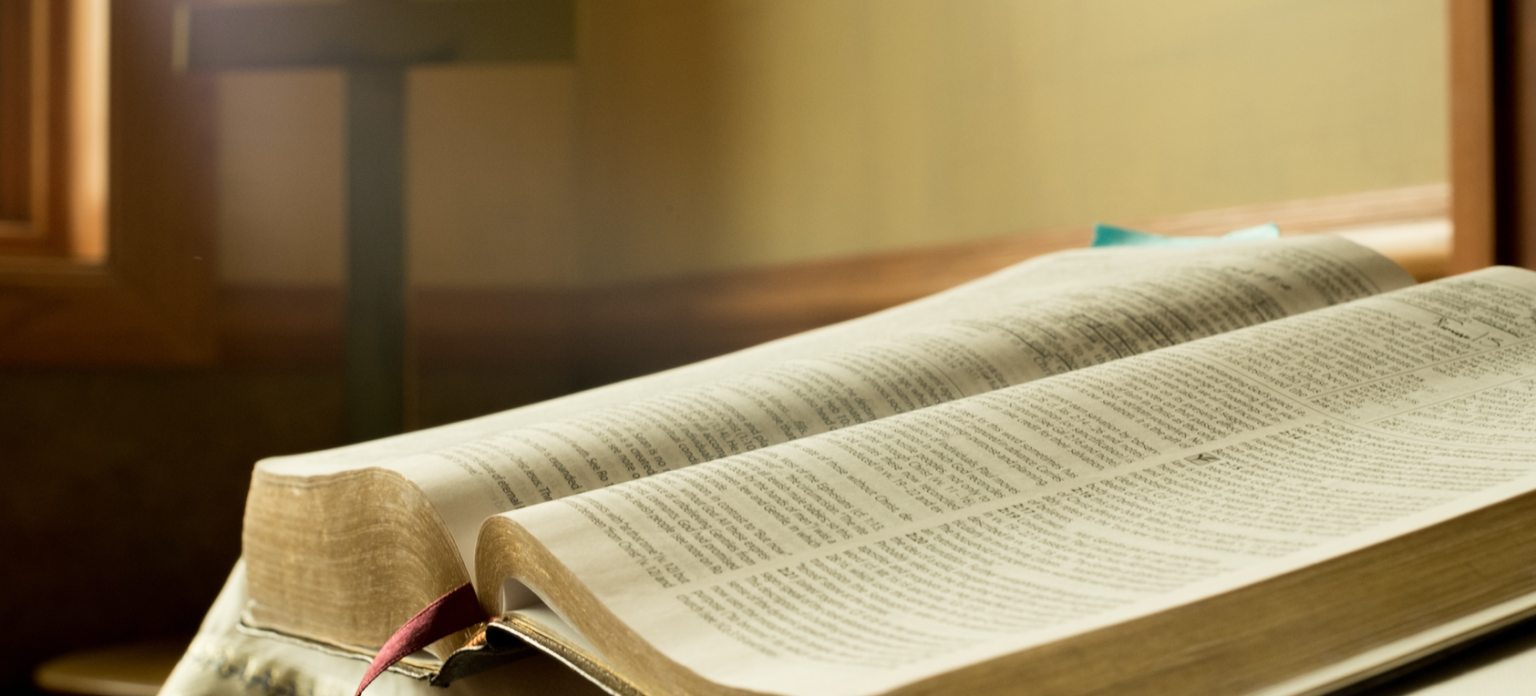 Ephesians Sermon Icon - Riverside Community Church PCA Cartersville, Ga