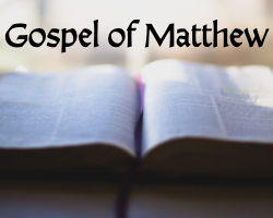 Relationships in the Kingdom